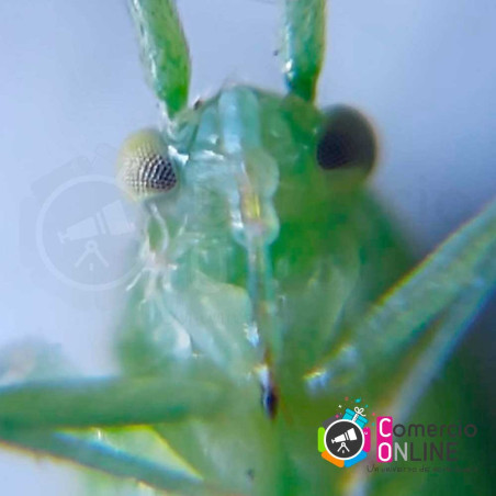 Mini microscopio para celular de 60x | resolución 4k + luz + luz ultravioleta