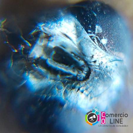 Mini microscopio para celular de 60x | resolución 4k + luz + luz ultravioleta